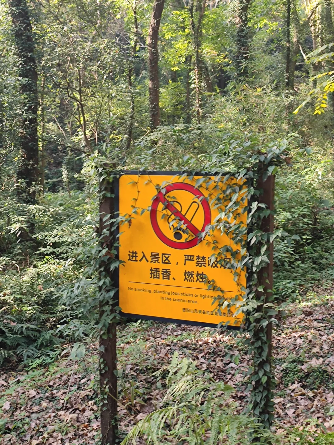 普陀山：不禁烟文明示范5A级景区