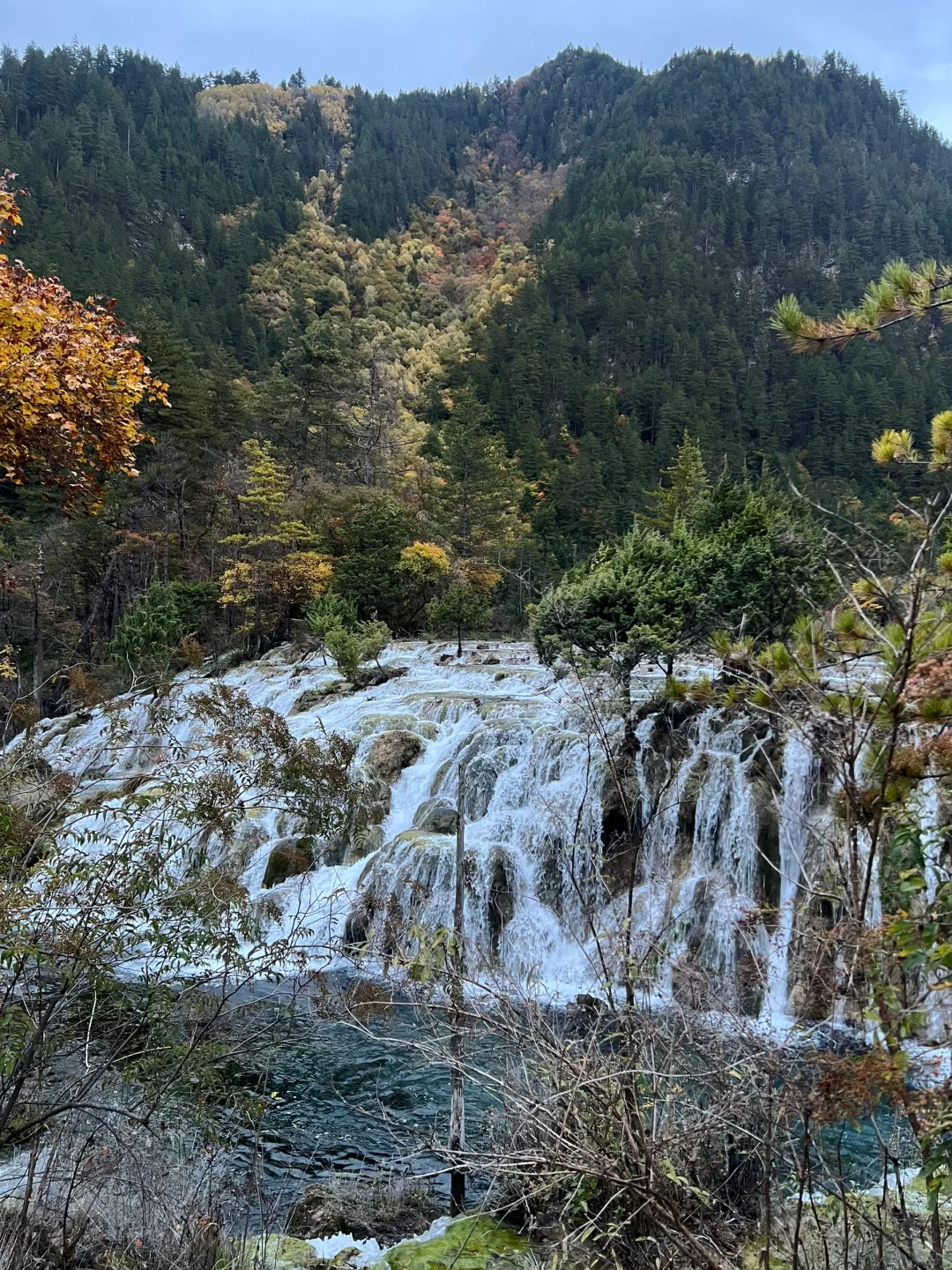 一日玩遍九寨沟，这样走就行啦