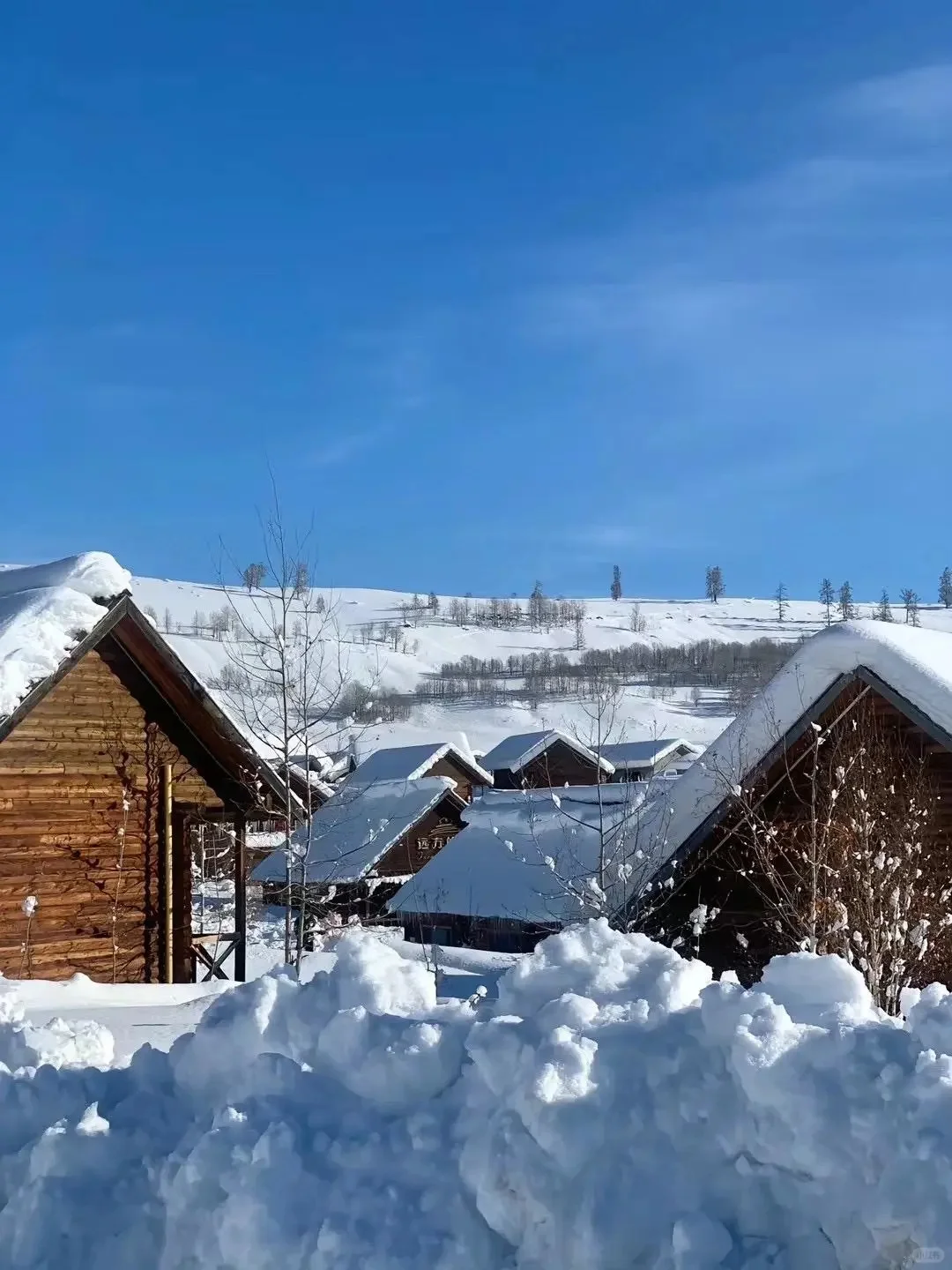12.1📍新疆现状，被冻麻了，我的建议是..