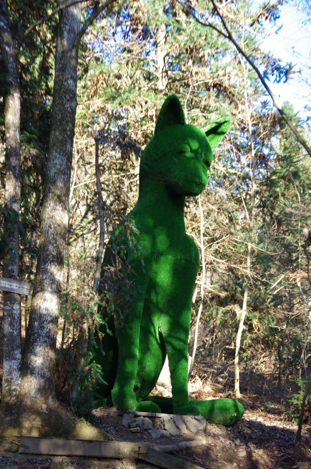 每周一山|松是迎客松 山是大明山