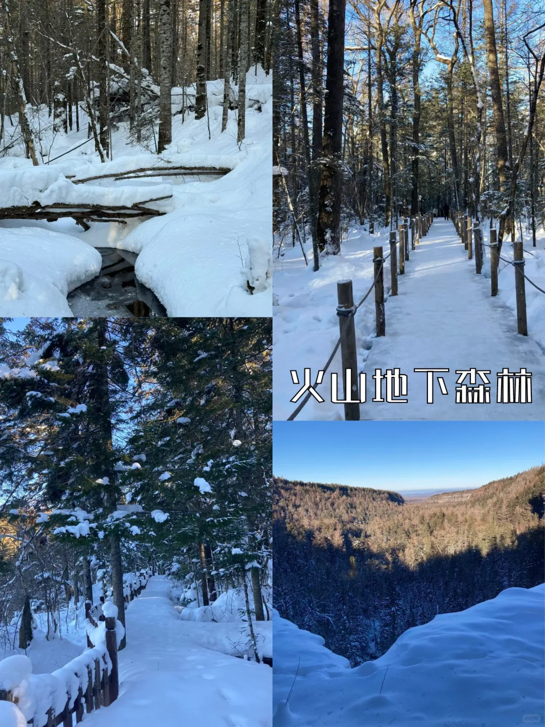 长白山延吉4天3晚旅行看这篇就够啦‼️