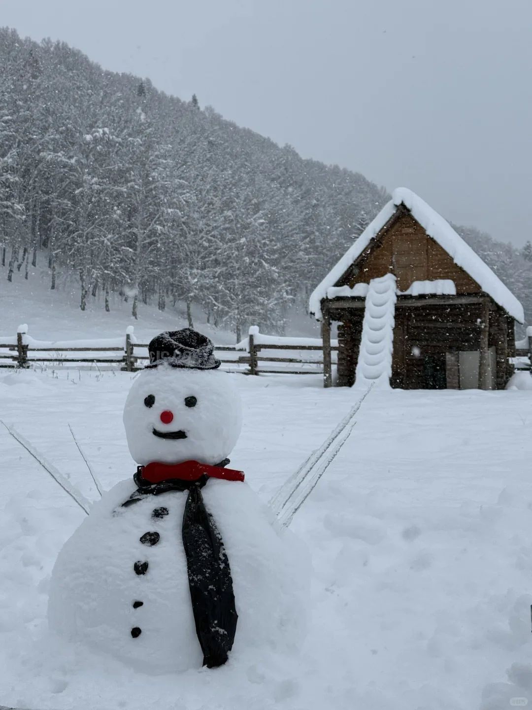12.1📍新疆现状，被冻麻了，我的建议是..