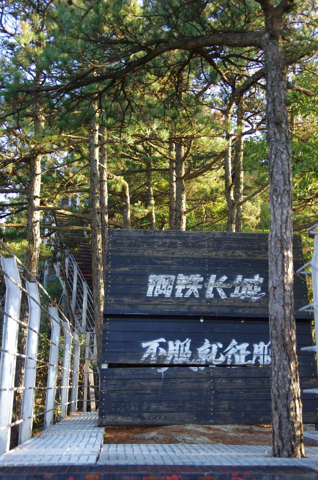 每周一山|松是迎客松 山是大明山