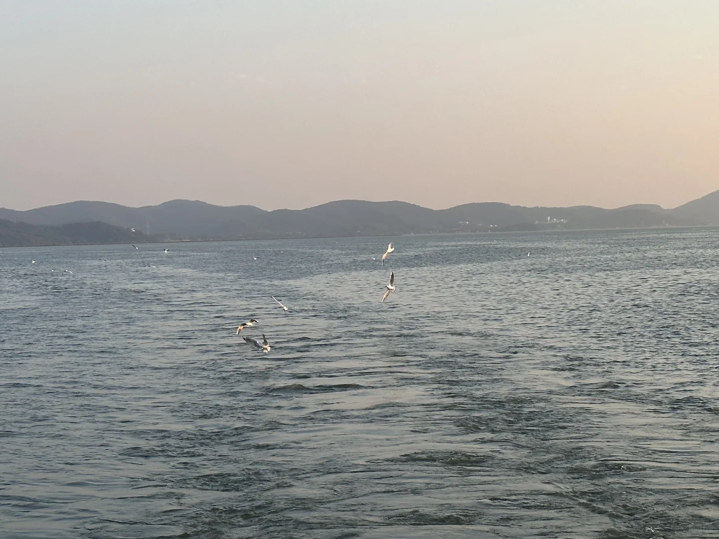 无锡一日游 ｜惠山古镇➕鼋头渚 （自驾🚗）