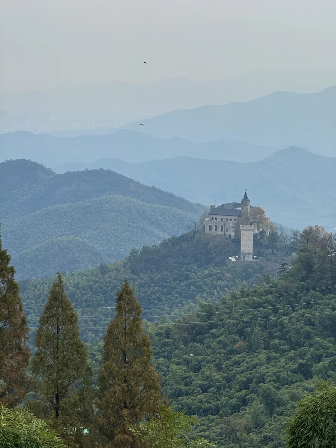 11.24实况!莫干山的秋天美疯了!(详细攻略)