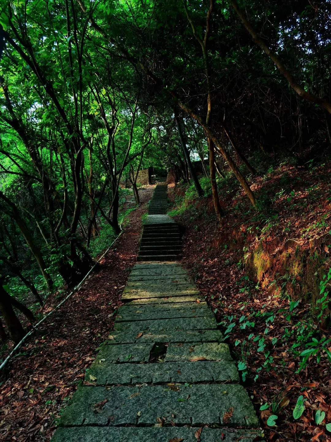 16公里轻松徒步：淘金山-翠湖公园-求水山～