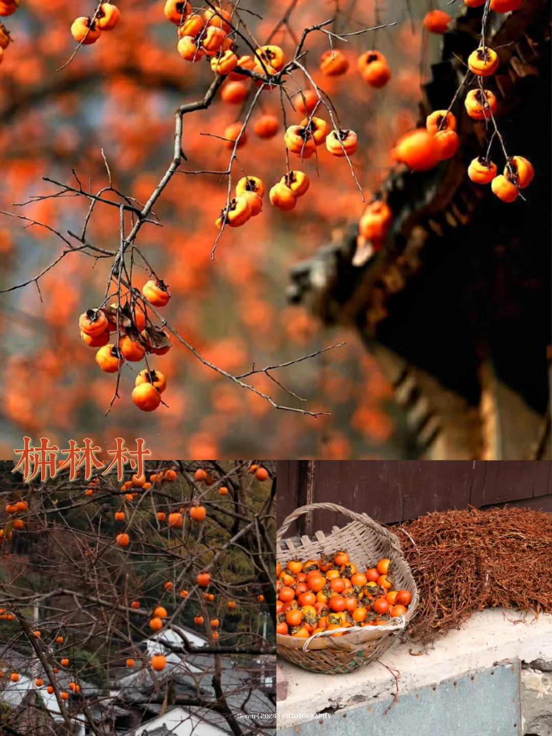 宝藏🌈四明山自驾攻略📘