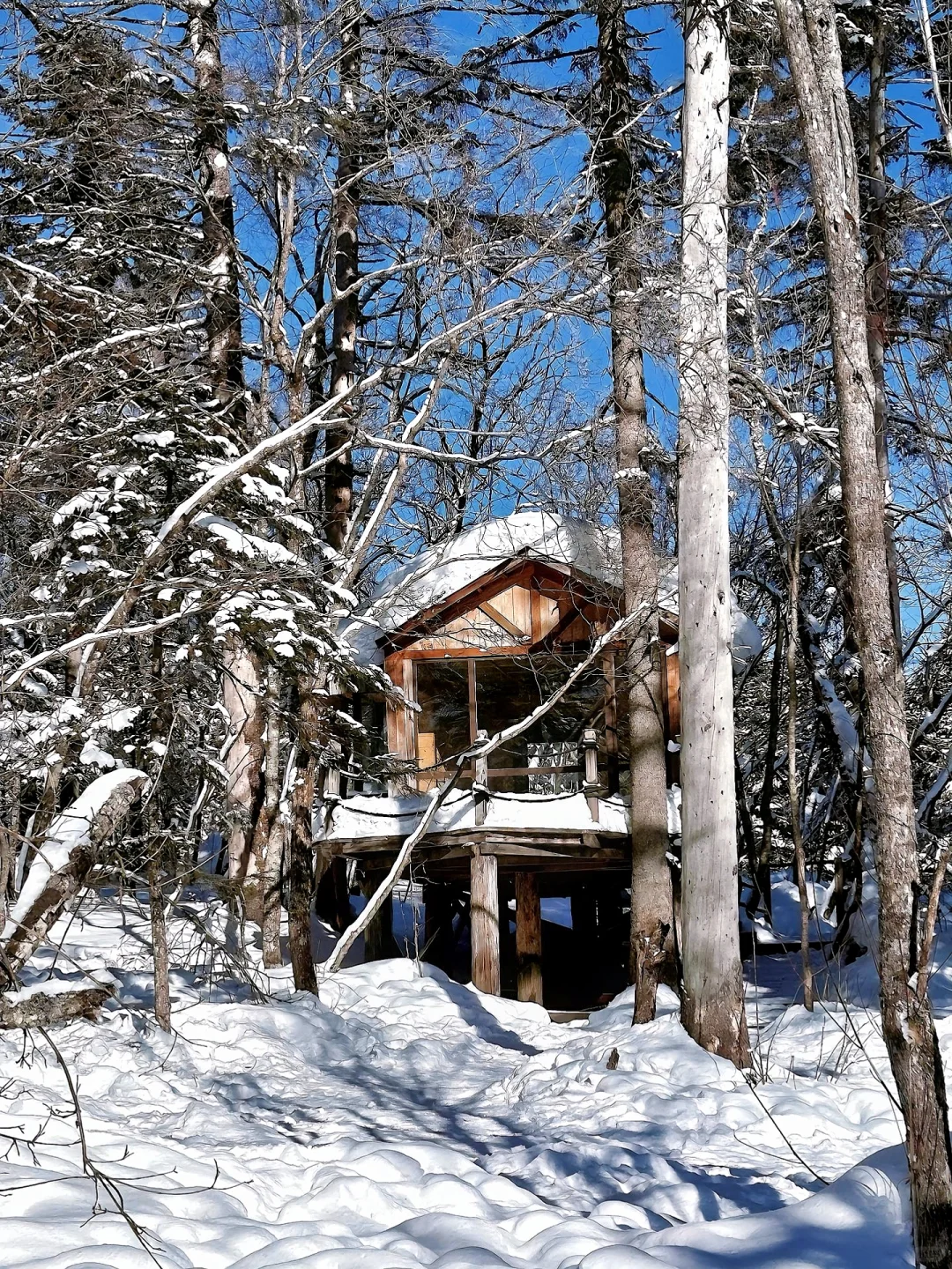 长白山＋延吉旅游攻略来了，路线超清晰