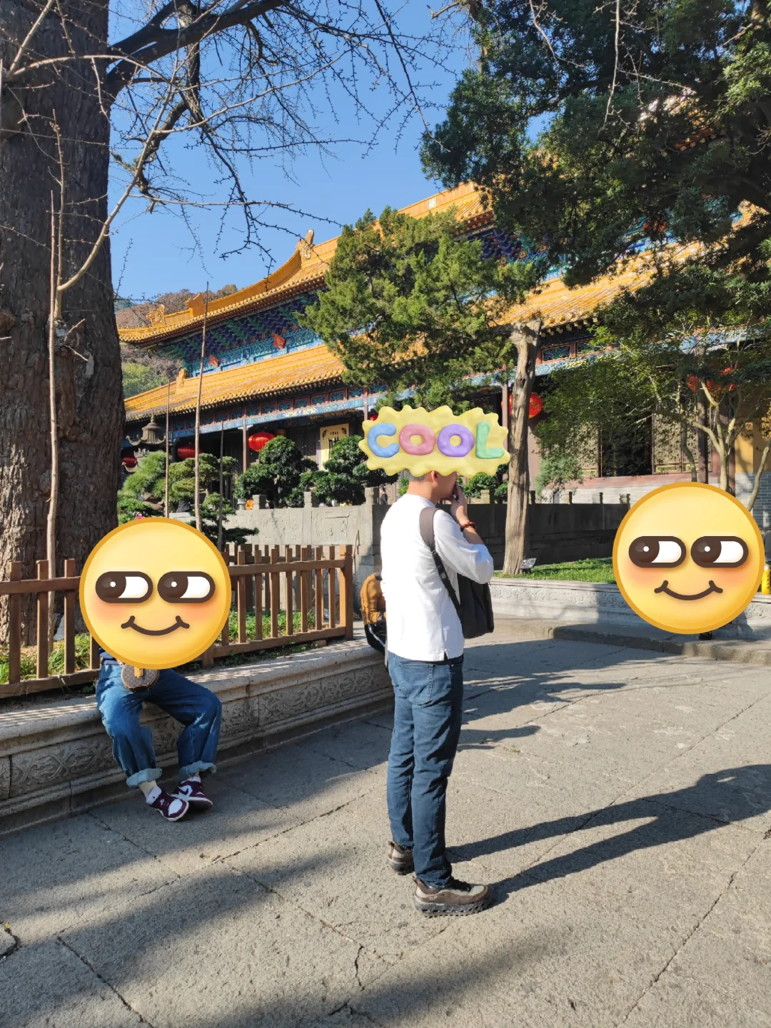 普陀山：不禁烟文明示范5A级景区