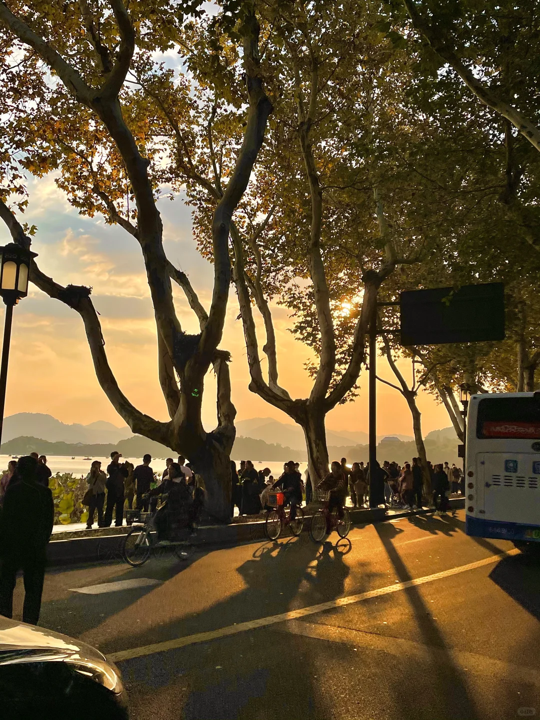 live 图｜美到封神！杭州赏秋一日游精华攻略！