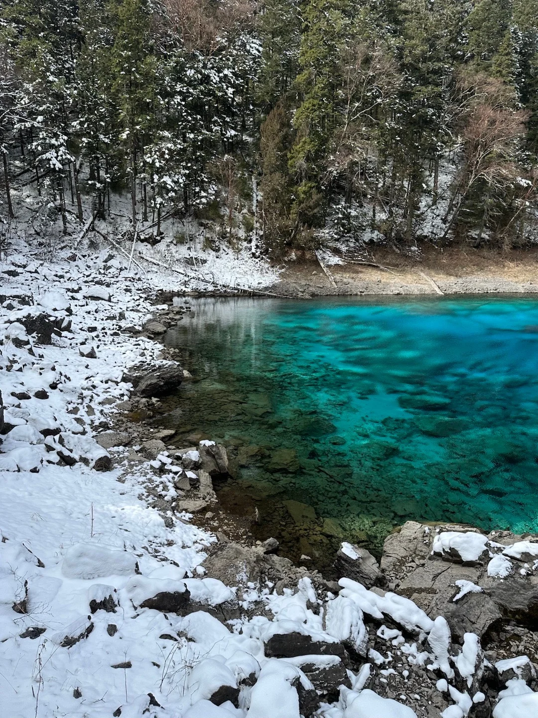 12.1📍九寨沟豪赌成功，真的劝退不了一点😅…