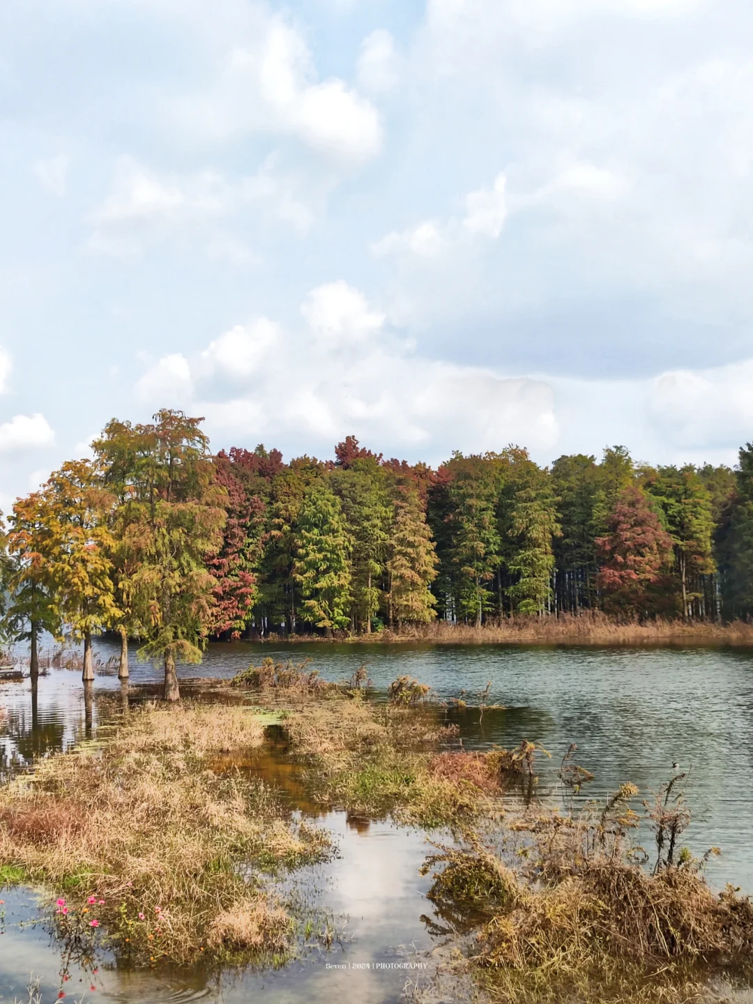 宝藏🌈四明山自驾攻略📘