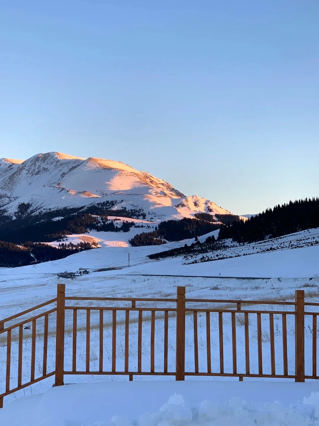 12.1📍新疆现状，被冻麻了，我的建议是..