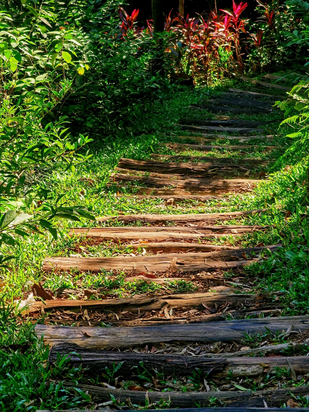 16公里轻松徒步：淘金山-翠湖公园-求水山～