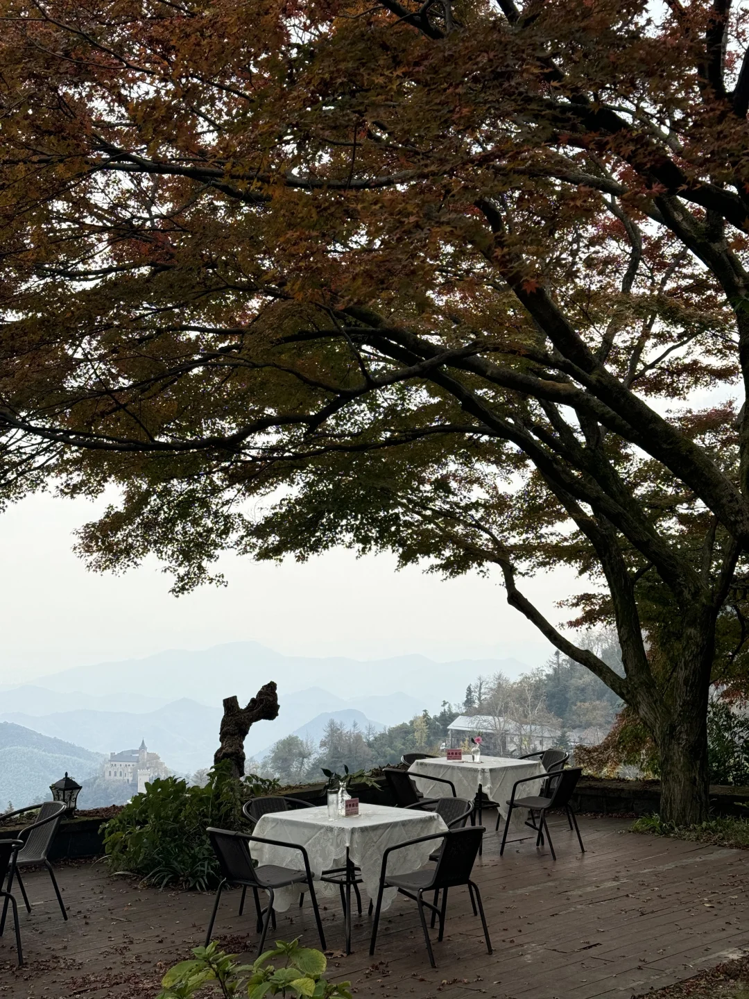 11.24实况!莫干山的秋天美疯了!(详细攻略)