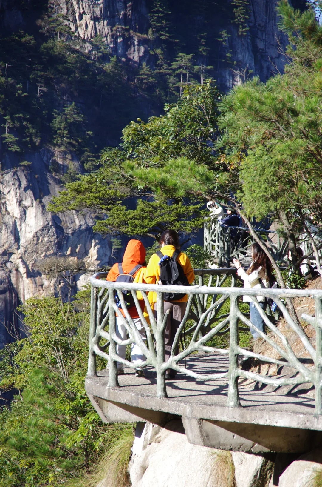 每周一山|松是迎客松 山是大明山