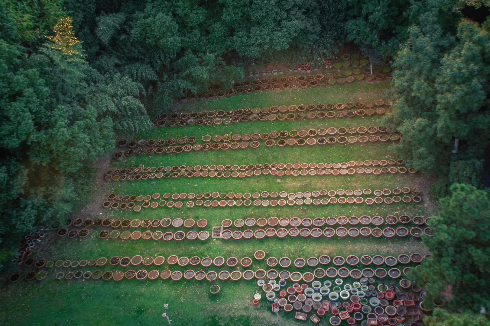 包公园｜合肥赏秋少不了的公园🍂