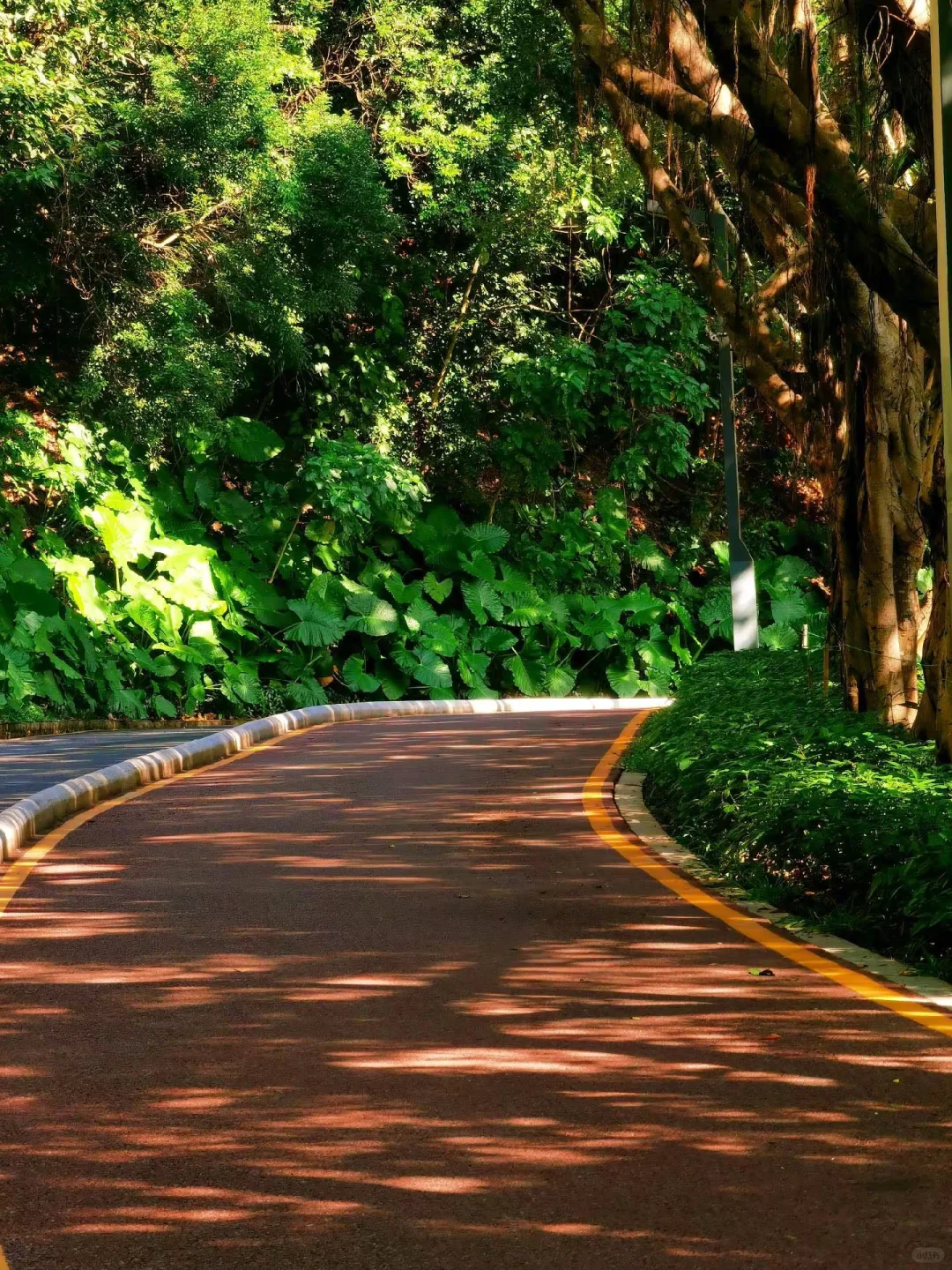 16公里轻松徒步：淘金山-翠湖公园-求水山～