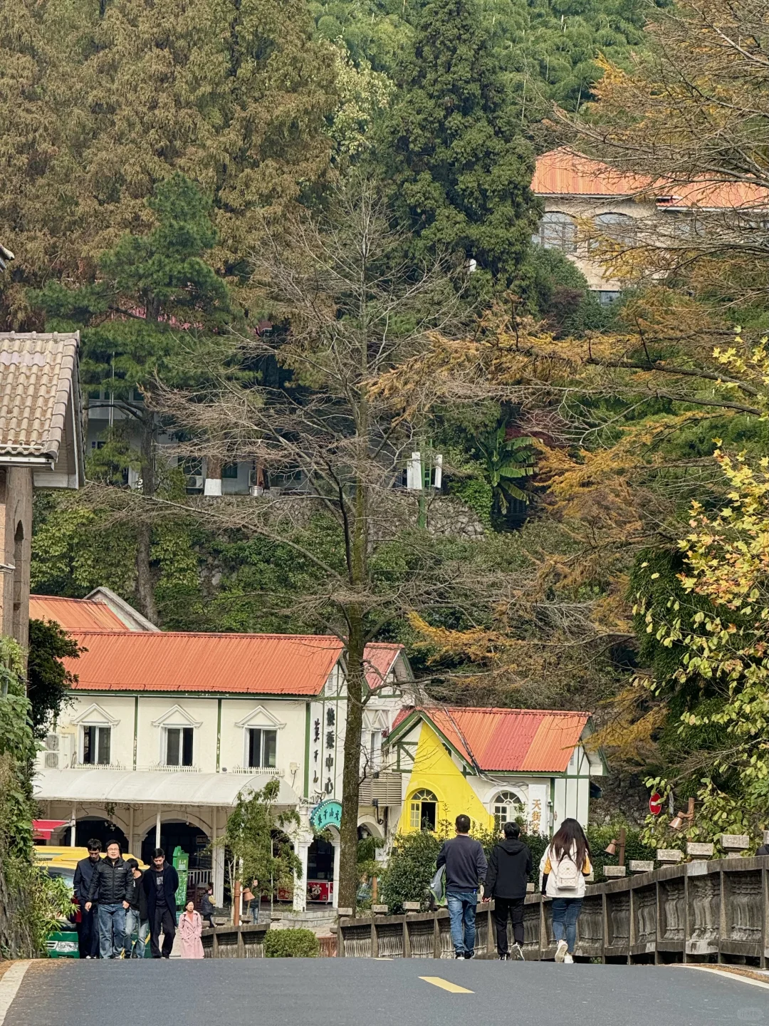 11.24实况!莫干山的秋天美疯了!(详细攻略)