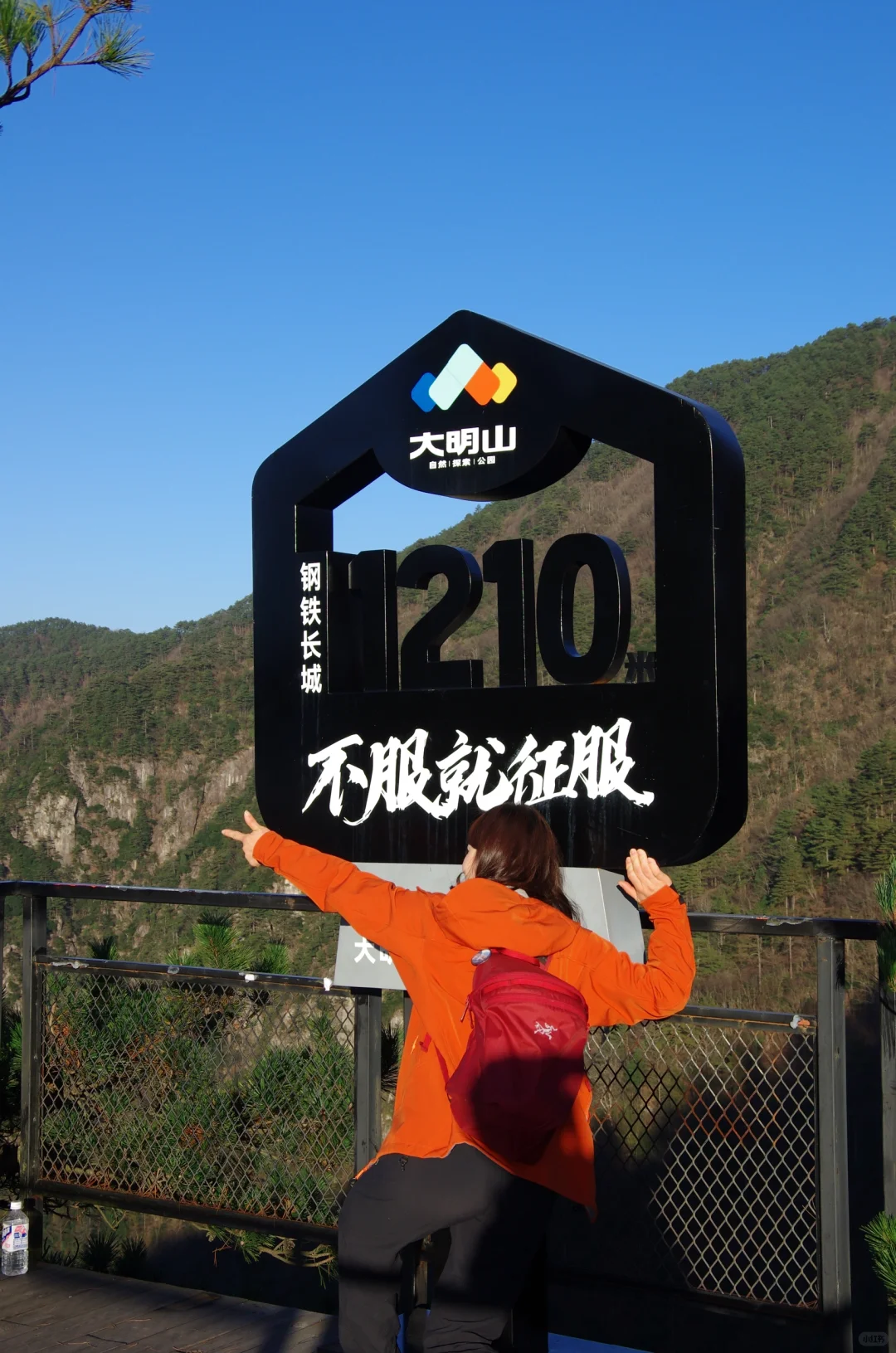 每周一山|松是迎客松 山是大明山