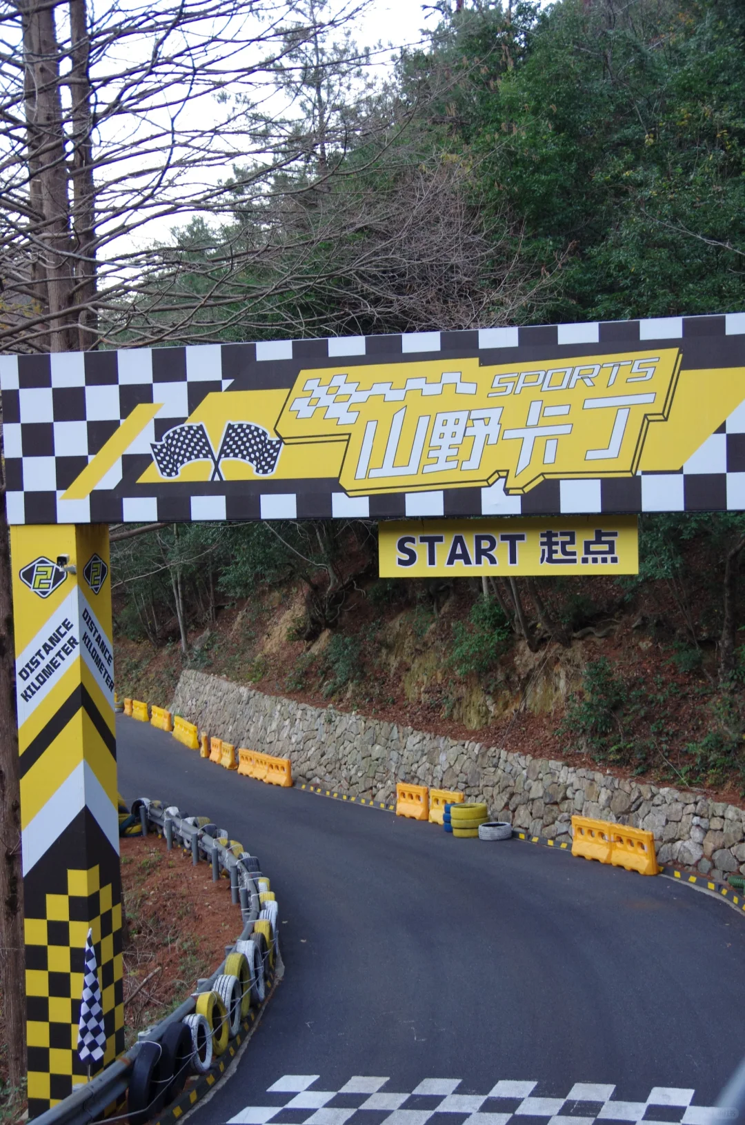 每周一山|松是迎客松 山是大明山