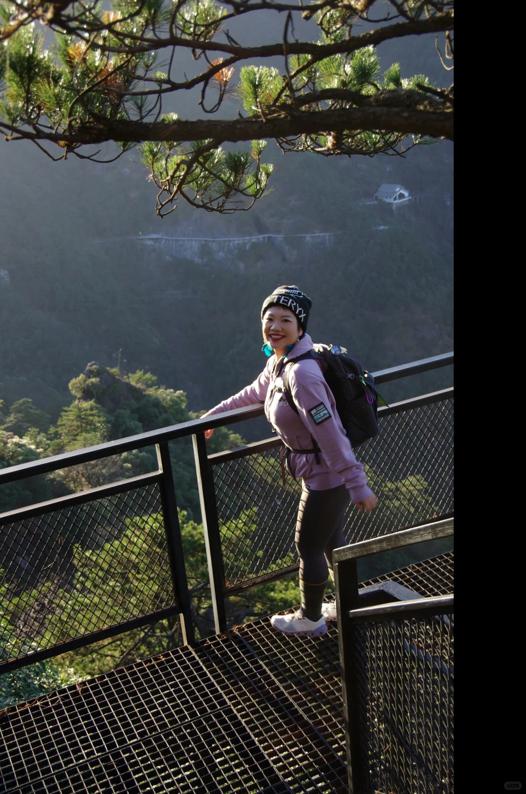 每周一山|松是迎客松 山是大明山