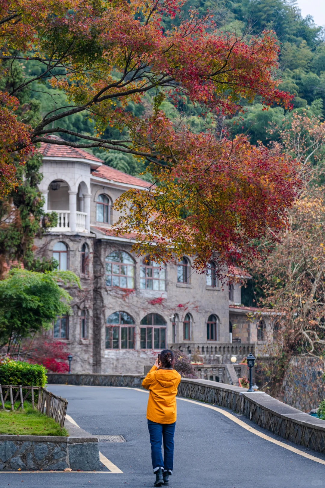 11.24实况!莫干山的秋天美疯了!(详细攻略)