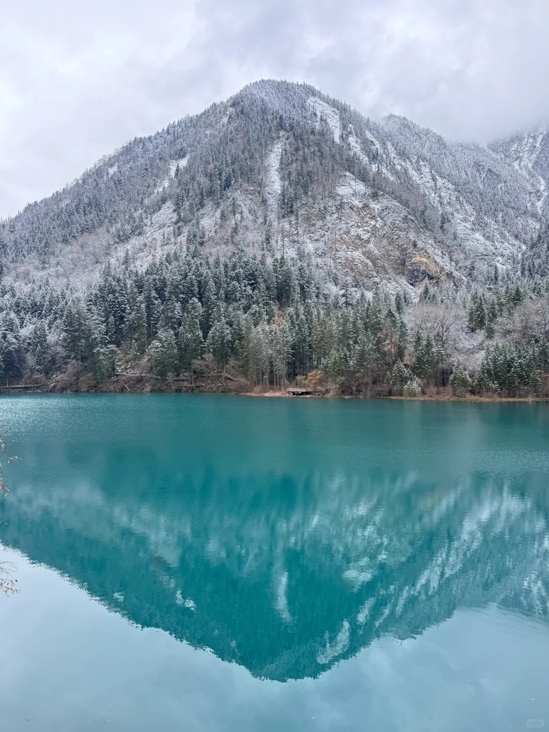 12.1📍九寨沟豪赌成功，真的劝退不了一点😅…