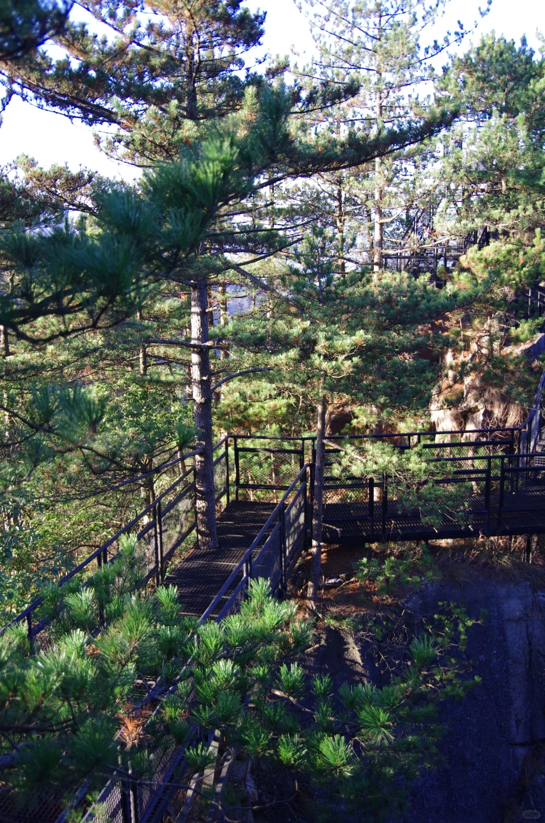 每周一山|松是迎客松 山是大明山