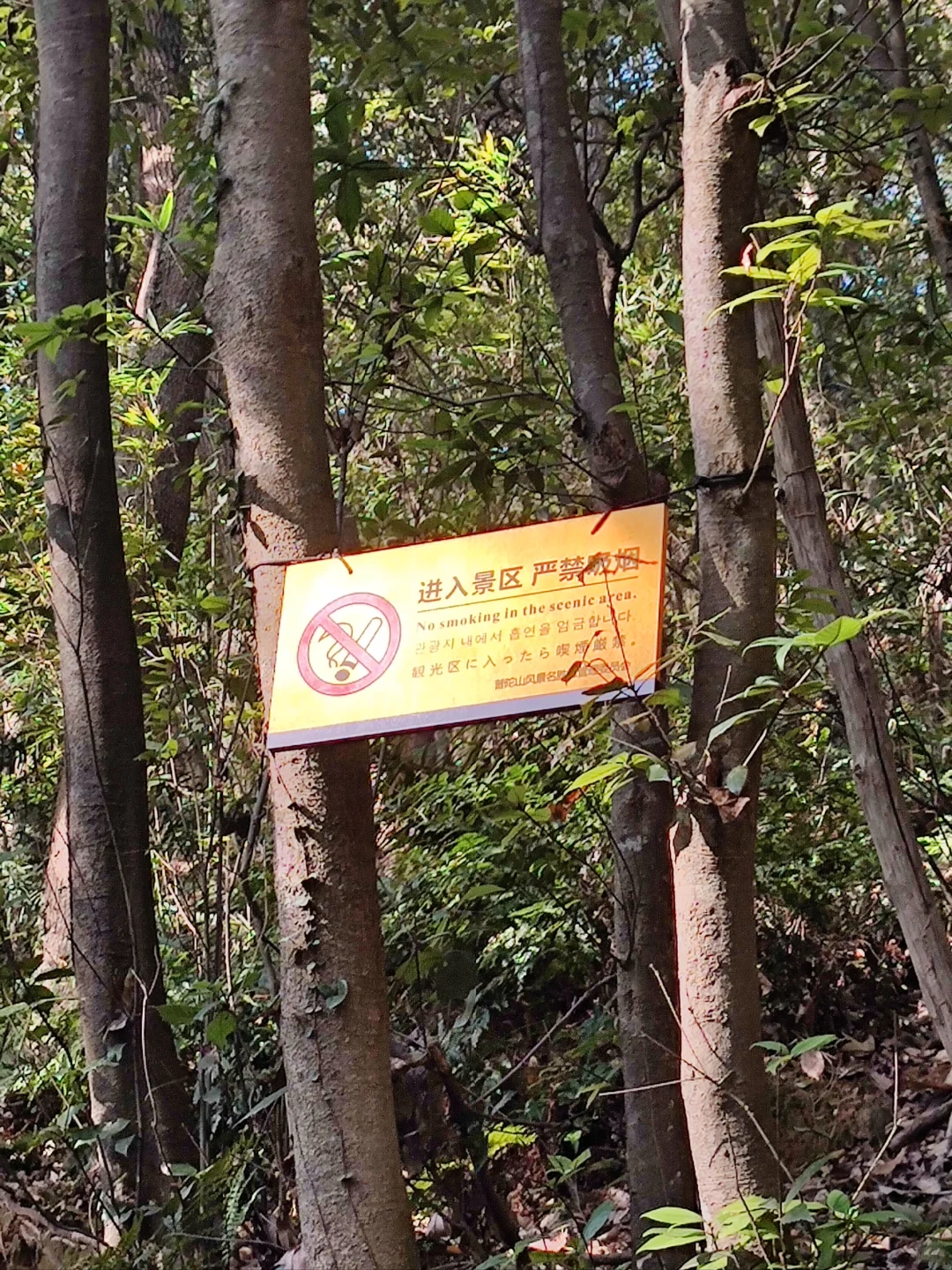 普陀山：不禁烟文明示范5A级景区