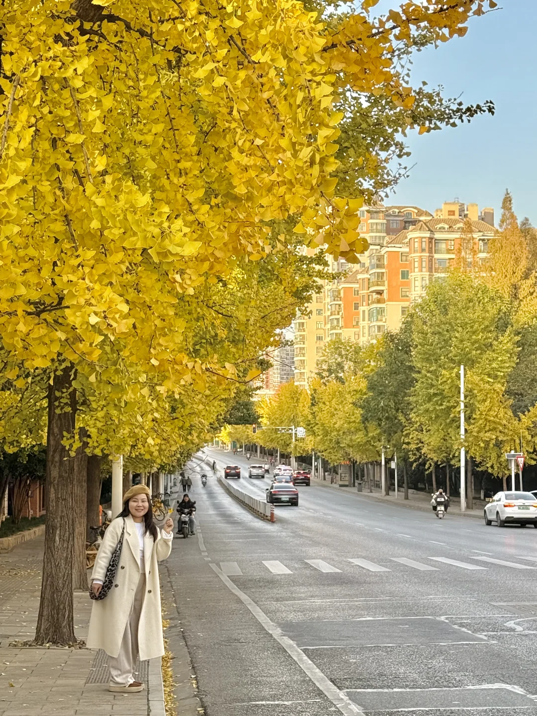 啊啊快去拍❗️武汉这片银杏太美了 11.28实拍