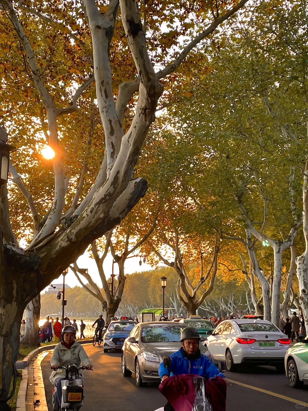 live 图｜美到封神！杭州赏秋一日游精华攻略！