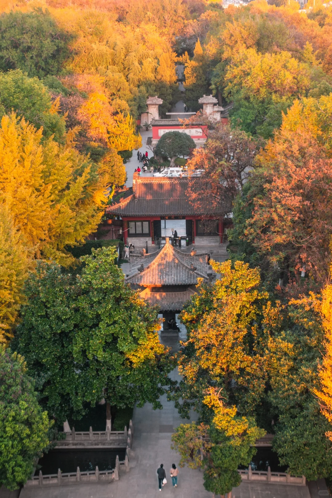 包公园｜合肥赏秋少不了的公园🍂