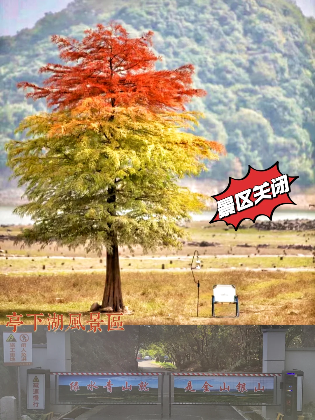 宝藏🌈四明山自驾攻略📘