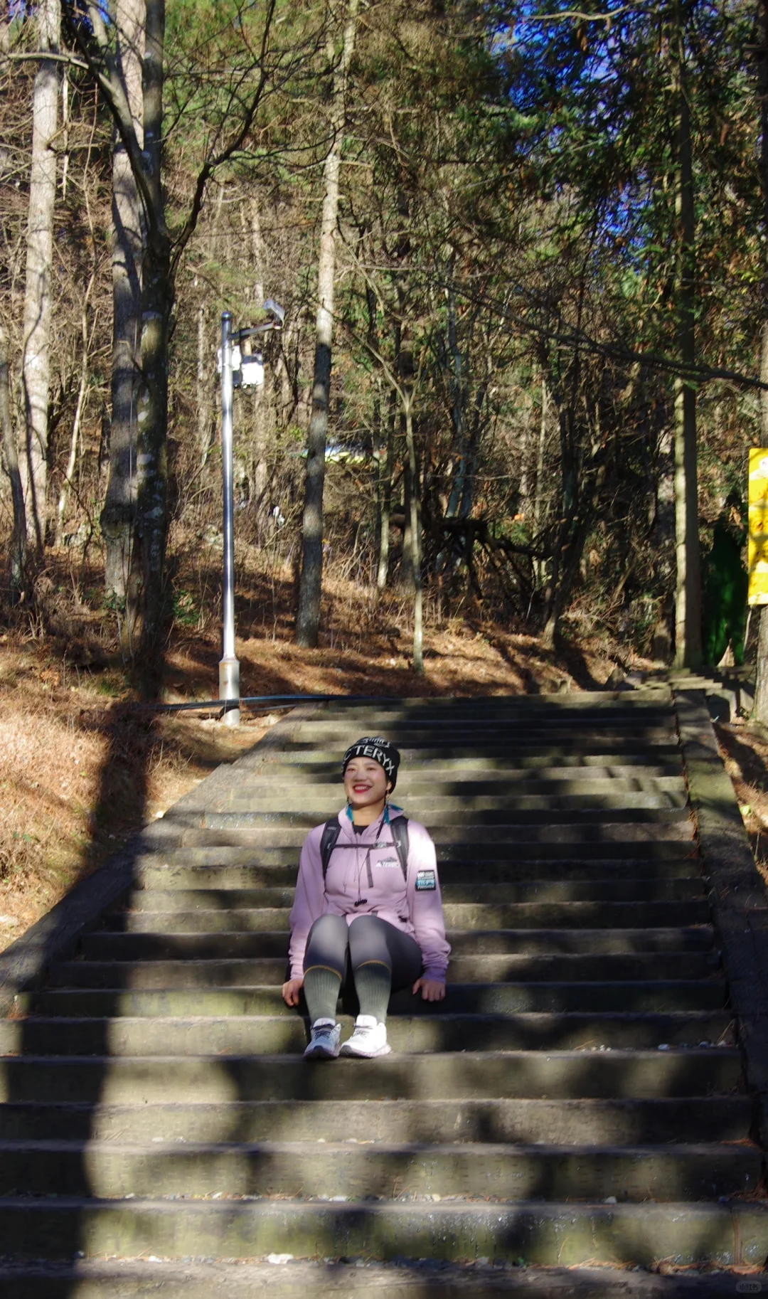 每周一山|松是迎客松 山是大明山