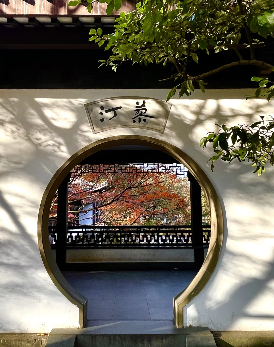 live 图｜美到封神！杭州赏秋一日游精华攻略！