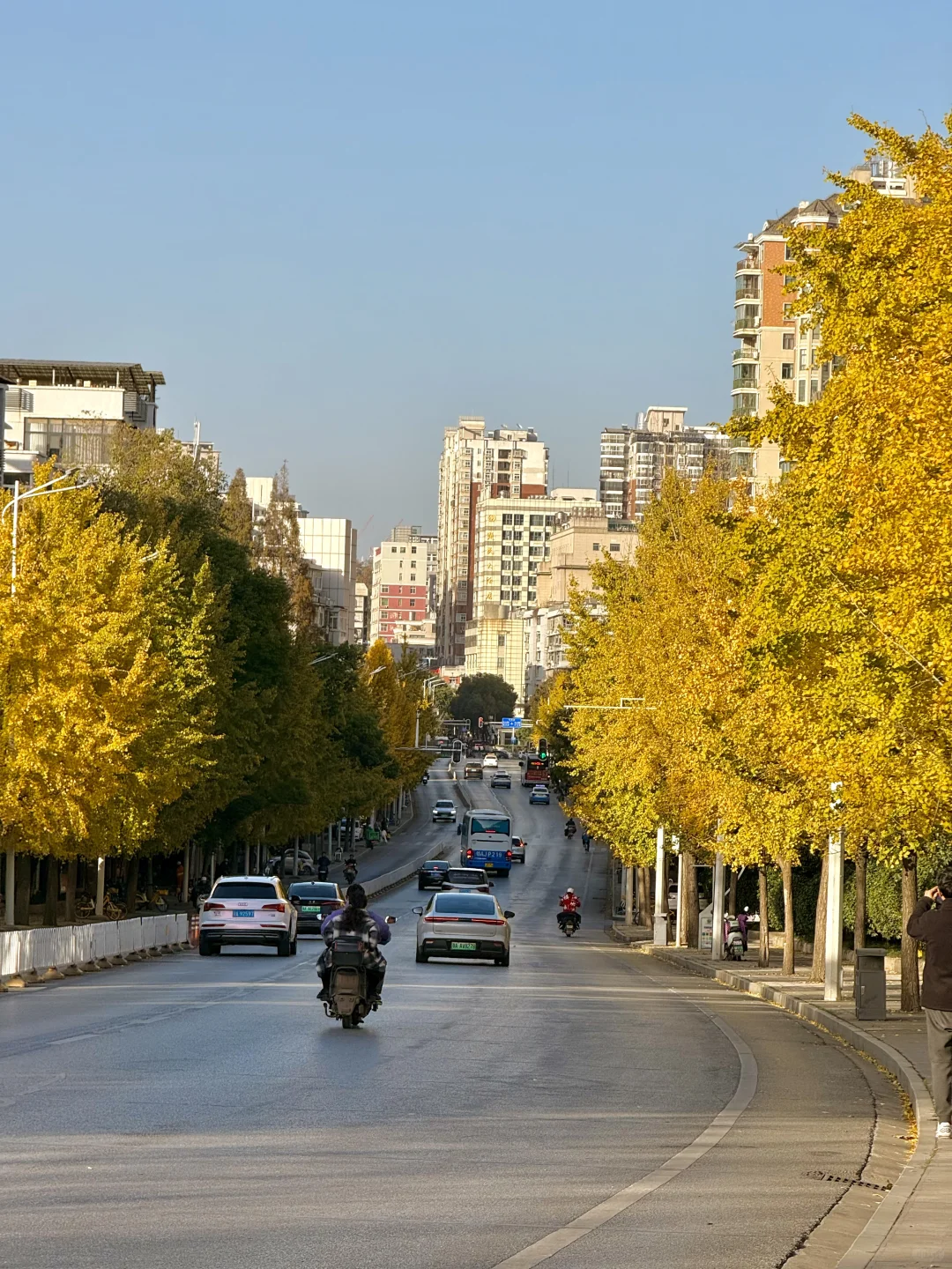 啊啊快去拍❗️武汉这片银杏太美了 11.28实拍