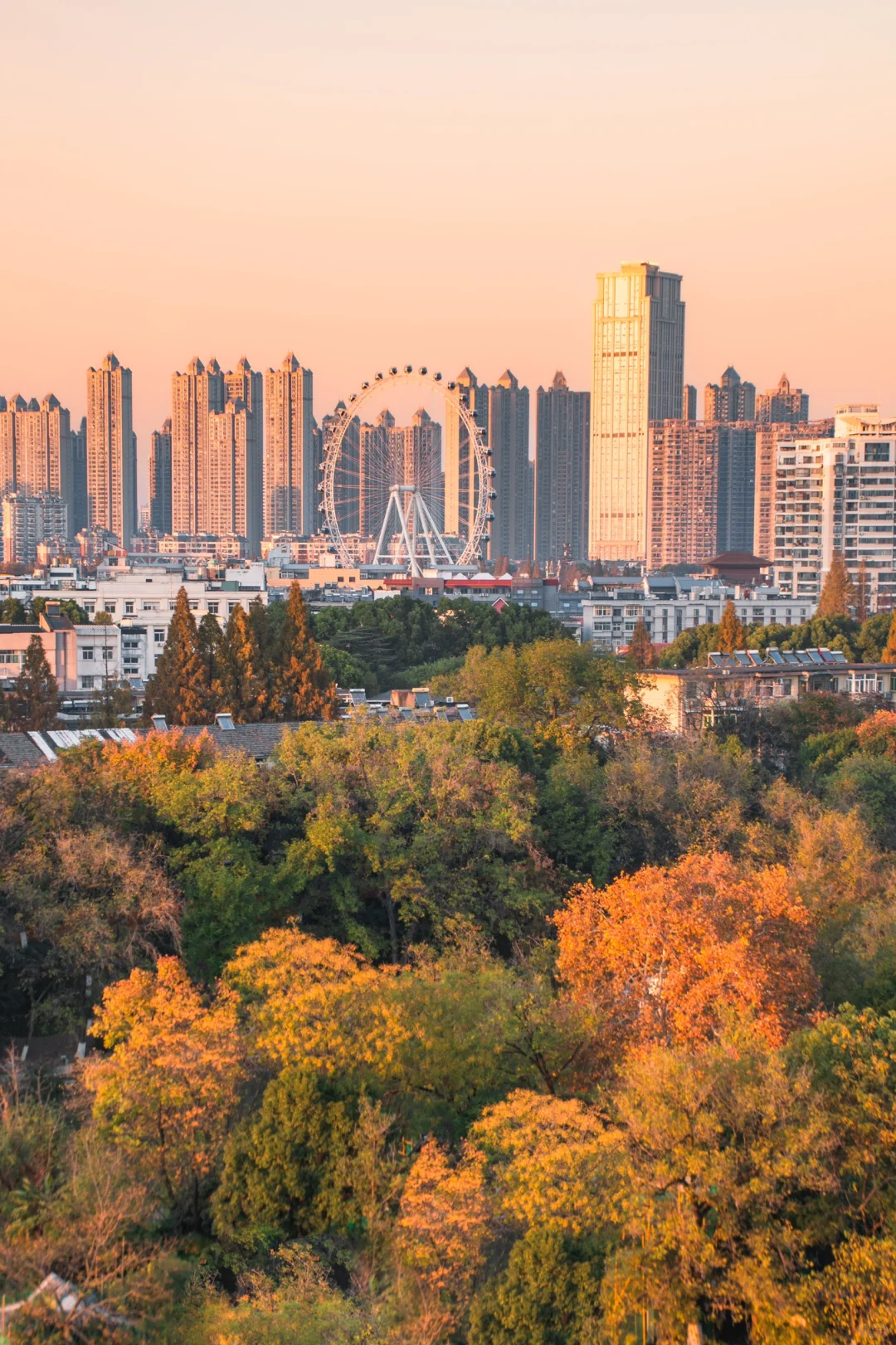 包公园｜合肥赏秋少不了的公园🍂