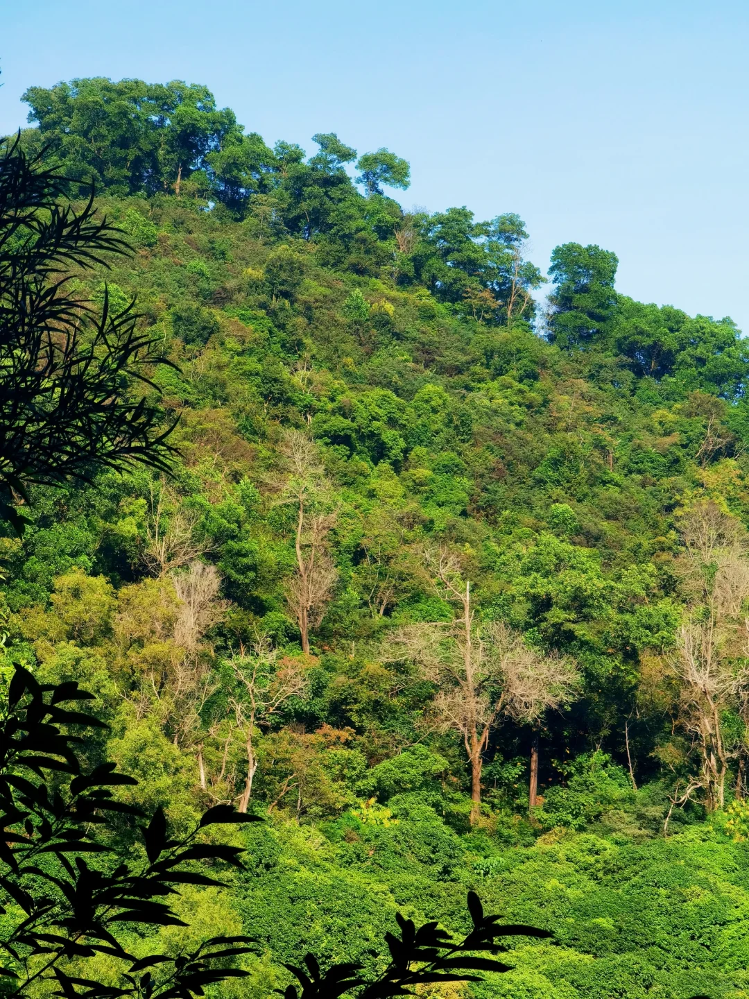 16公里轻松徒步：淘金山-翠湖公园-求水山～