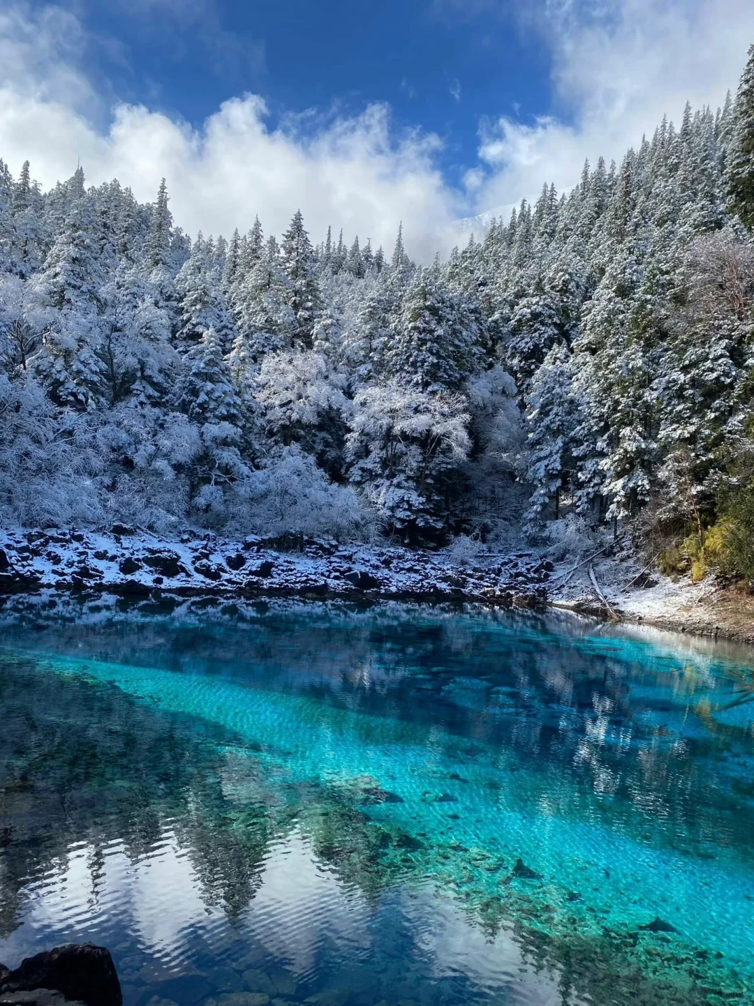 一日玩遍九寨沟，这样走就行啦