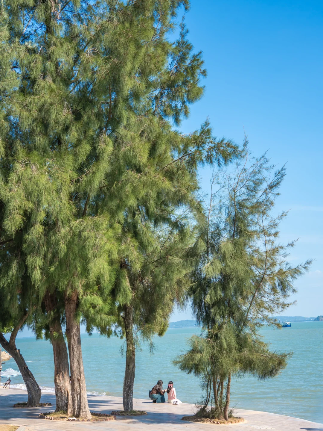 人生建议,落地厦门第一站直奔这里,美疯