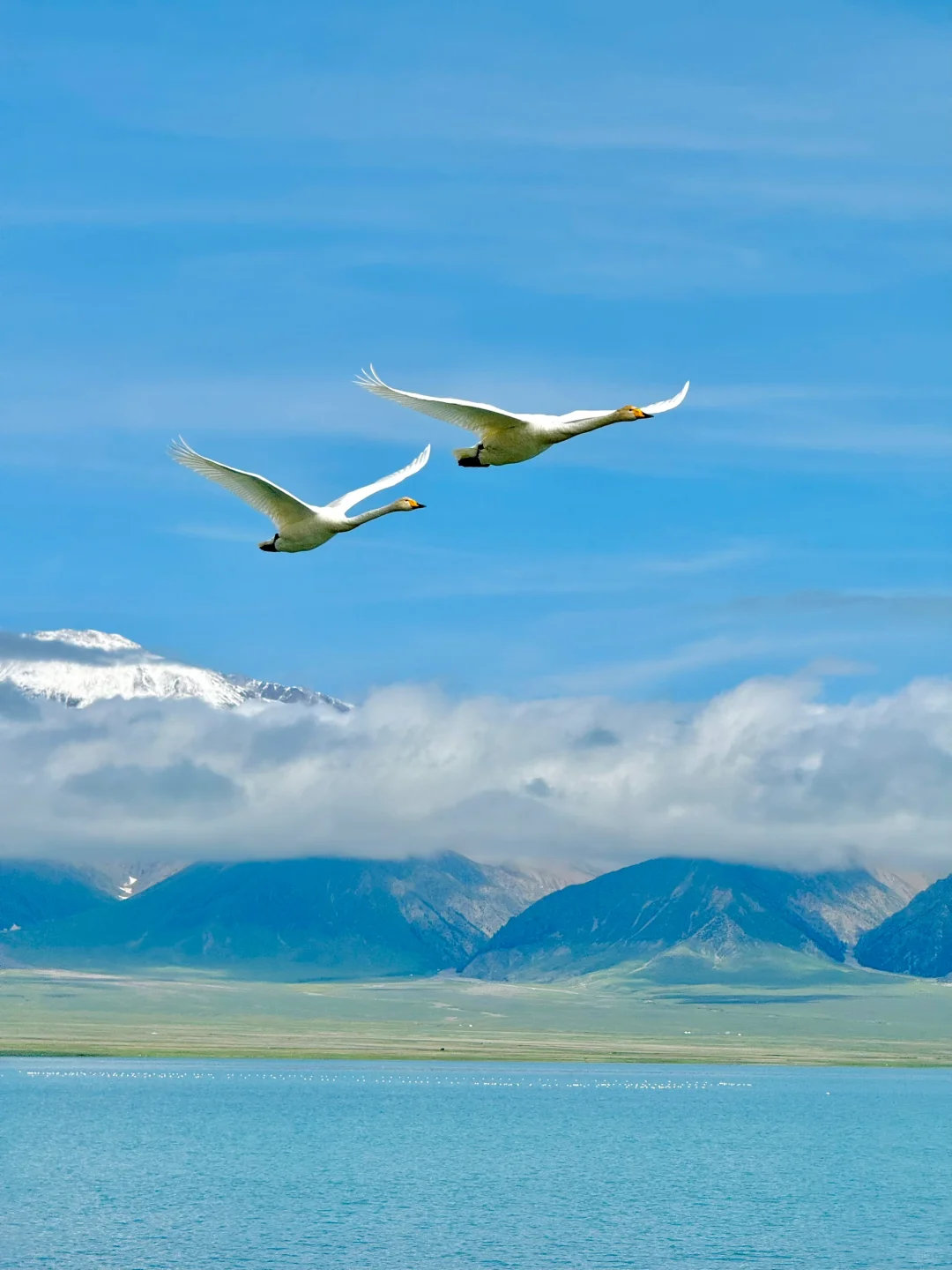 威海2024旅游超全攻略，希望可以帮到大家