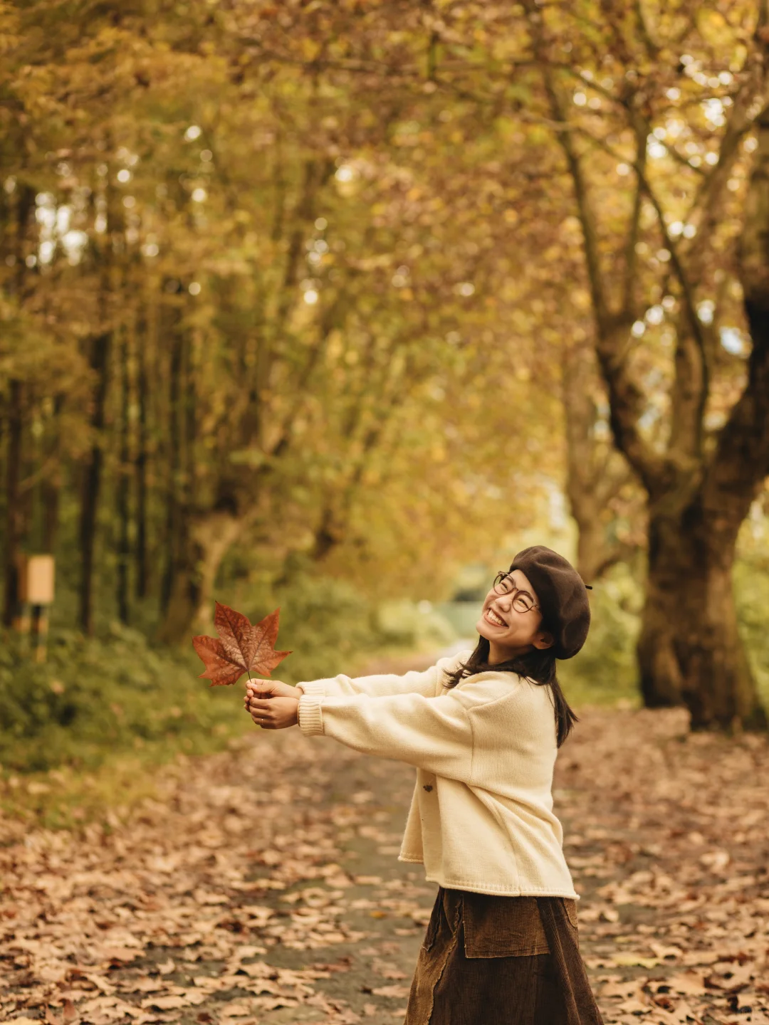 成都｜这里的梧桐已到巅峰！人少📸巨出片