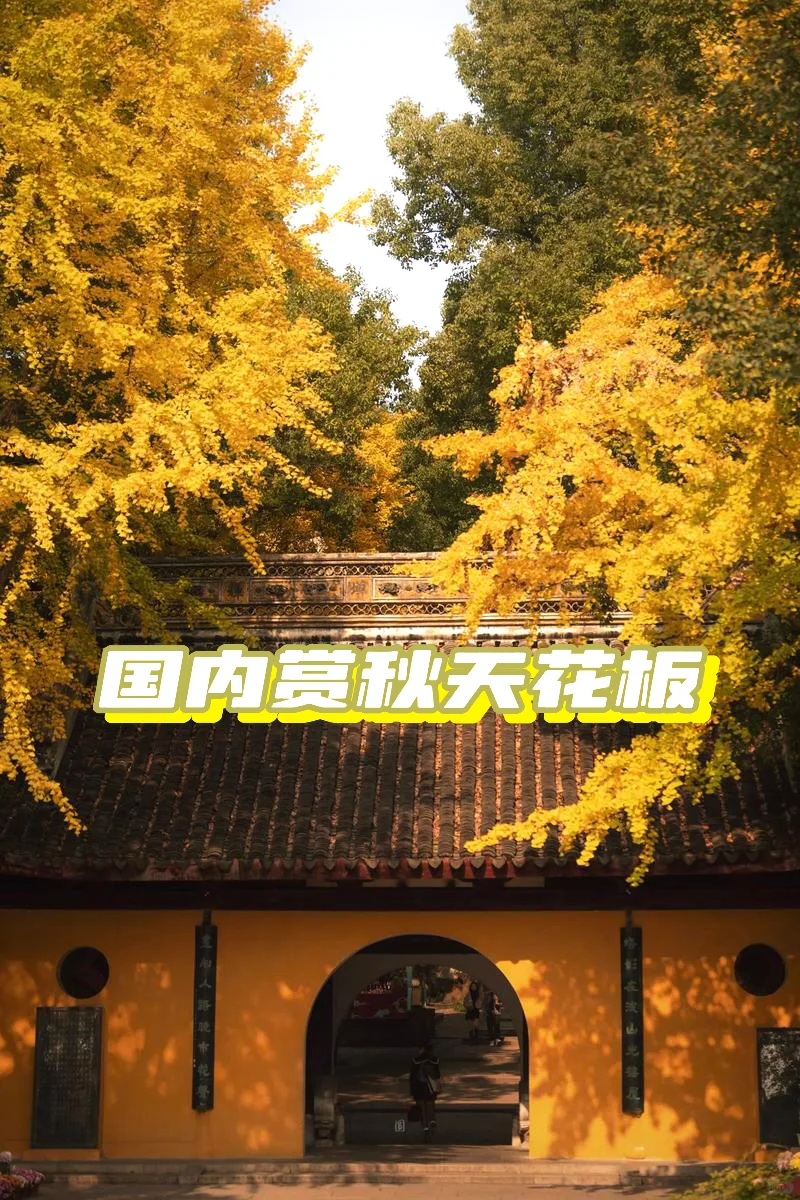 秋季🍂最爱的旅游城市‼️