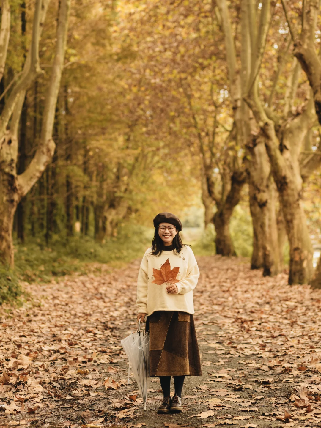 成都｜这里的梧桐已到巅峰！人少📸巨出片
