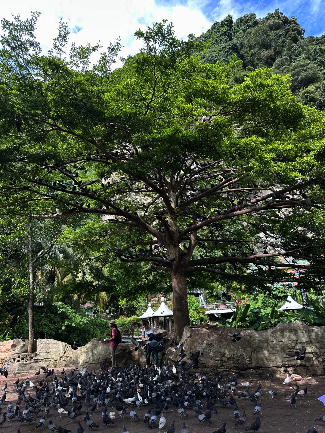 吉隆坡著名景点黑风洞值不值得来