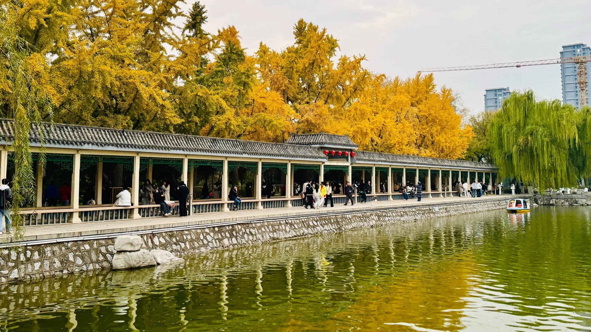 邯郸｜一座等了您3000年的城市💕