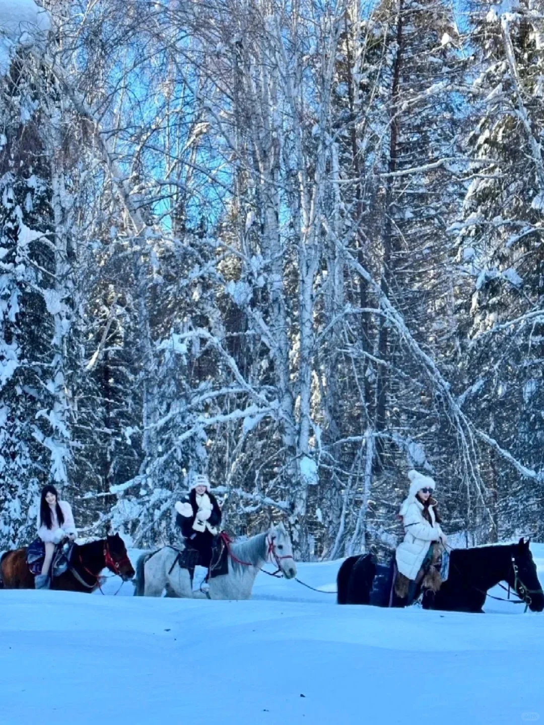 笑死😂三个人去新疆,谁也不想回去了!