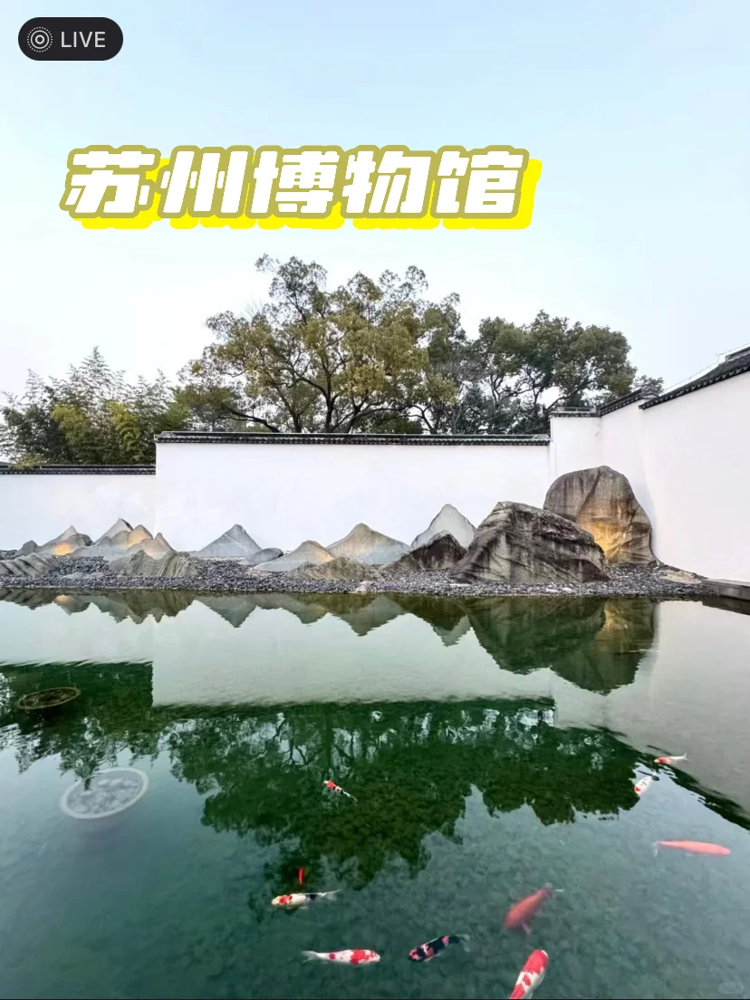 秋季🍂最爱的旅游城市‼️