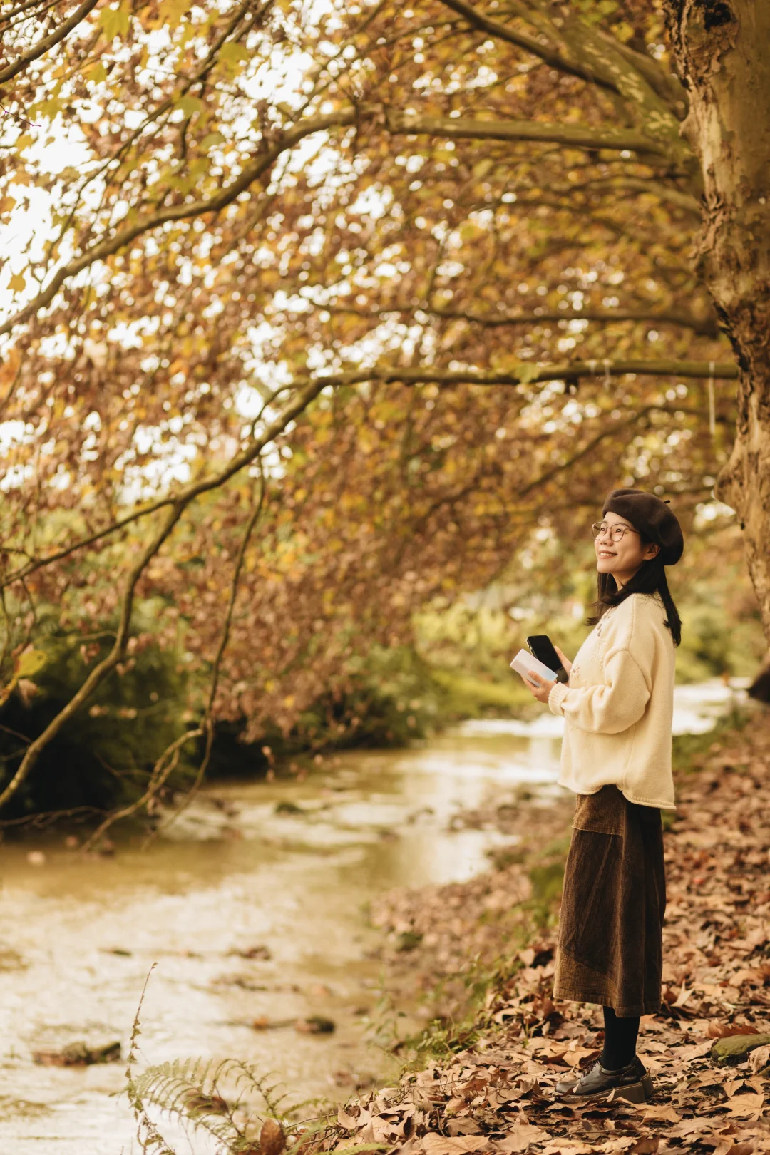 成都｜这里的梧桐已到巅峰！人少📸巨出片